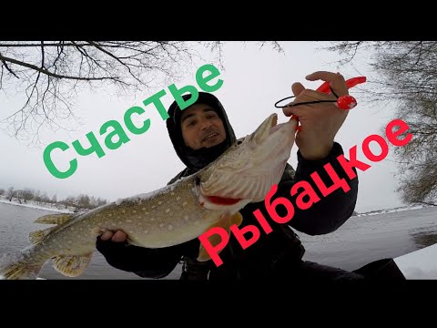 Видео: Щука на Спиннинг. 23 февраля Москва-Река . Рыбалка на Джиг. #NEKFiSh #зимнийспиннинг .