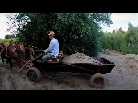 Видео: ВОЗИМО ПІСОК/ КОЛИ ТРЕБА ,ТОДІ І РОБЛЯТЬ МОЇ КОНІ.