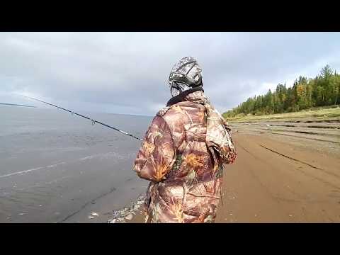 Видео: Рыбалка.Второй выезд за ряпушкой и нам хватит!