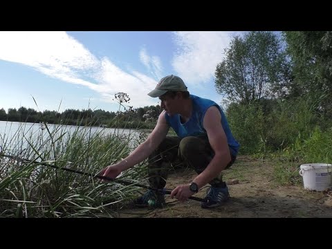 Видео: ВОТ ЭТО МОНСТР НА УДОЧКУ! ПЕРВЫЙ РАЗ В ЖИЗНИ ТАКОГО ОГРОМНОГО ЛОВЛЮ! Рыбалка на удочку!