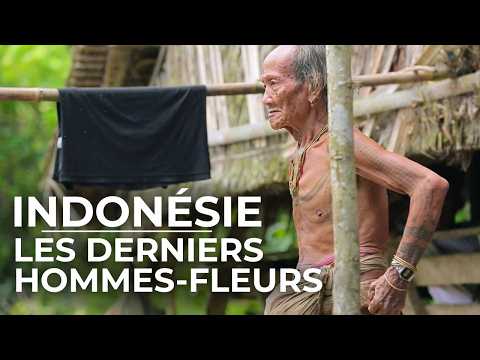 Видео: В Индонезии среди ментавайцев