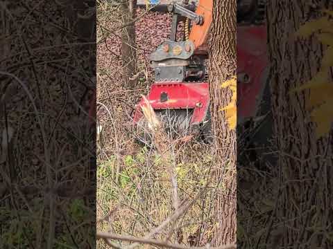 Видео: 30 октября 2025 г.