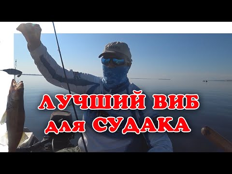 Видео: Лучшие Приманки Для Волги ▶ Fishing 2023 ▶ vovabeer
