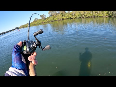 Видео: Слишком большой для снаряжения BFS?! - Рыбалка в устье реки Брисбен!