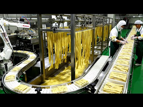 Видео: Удовлетворительный производственный процесс китайского завода юба