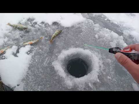 Видео: СНОВА ПЕРВЫЙ ОПАСНЫЙ ЛЁД  все равно МЫ НАШЛИ ОКУНЯ.