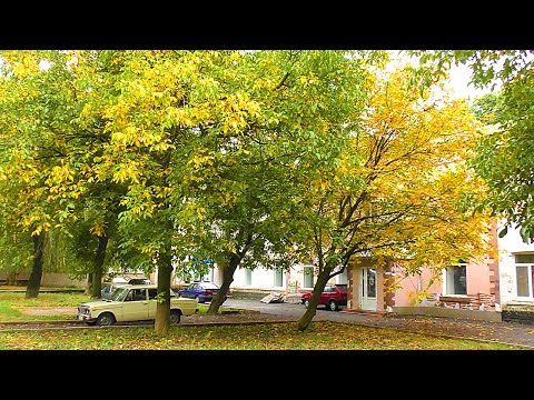 Видео: Гайсин сьогодні. На порозі Жовтень