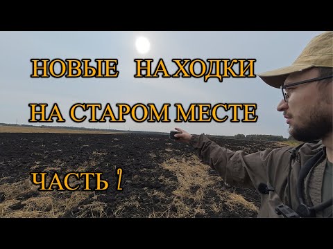 Видео: ПОЛЕ ВЫДОХЛОСЬ? Находок не было... НО ЭТО НЕ ТОЧНО. ПОИСК МОНЕТ. ЧАСТЬ 2