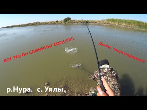 Видео: Удачная рыбалка на реке Нура. Судака полно и крупный! Рыбалка 2021.