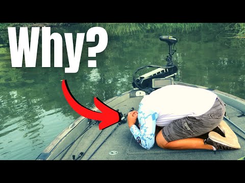 Видео: НЕ МОЖЕТЕ ПОймать БАССА? СДЕЛАЙТЕ ЭТО!!