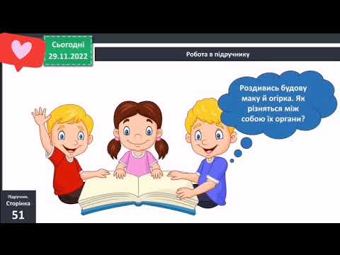 Видео: Рослини. Будова рослин 3 клас Я досліджую світ 1 частина Бібік