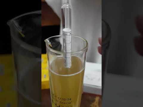 Видео: Измерение плотности пива
