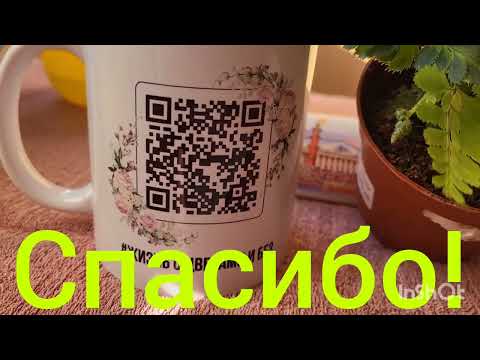 Видео: Адиантум Румора. Папоротник вариегатный. 18.09.2023.