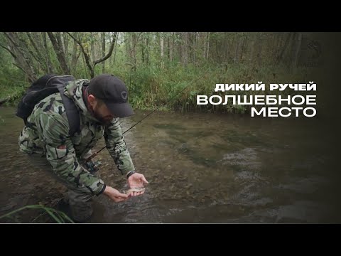 Видео: Волшебное место. Дикий ручей