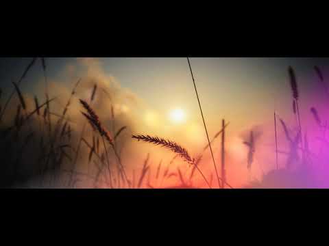 Видео: ASMR - Я ЛЮБЛЮ ТЕБЯ - исцеление внутреннего ребенка (с) Aisha Nishi