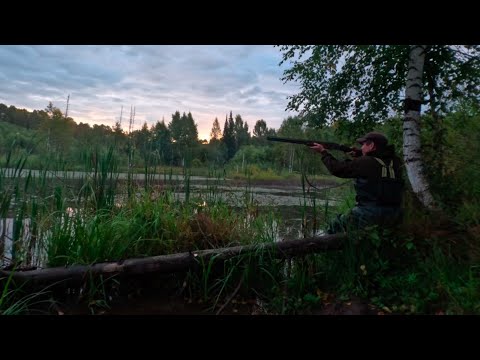 Видео: К СТРОИТЕЛЬСТВУ ОХОТНИЧЬЕЙ ИЗБЫ. СТРЕЛЬБА ПО УТКЕ С ПОДХОДА. КУЧА МЯСА ЗА 10 МИНУТ.