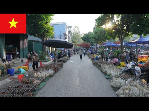 Видео: Скрытый рынок на границе Вьетнама и Китая | Знакомство с местной культурой, бытом и уличной едой