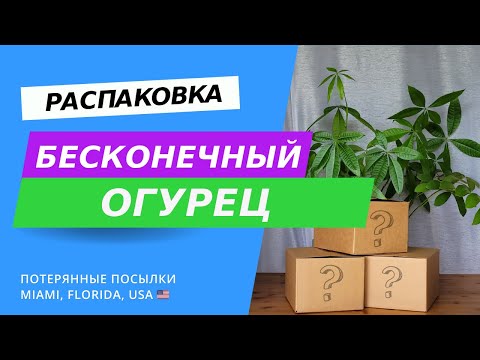 Видео: Находки опять удивляют! Потерянные посылки и обзор товаров в США, Флорида.