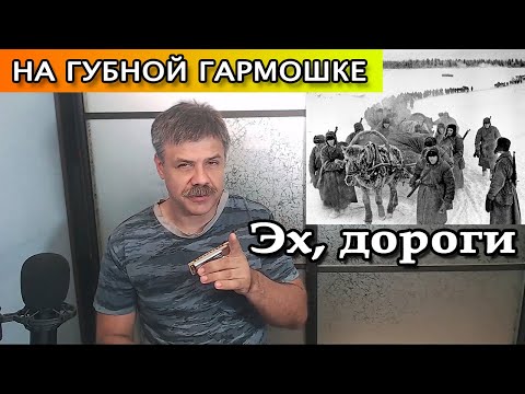 Видео: Эх, дороги на губной гармошке