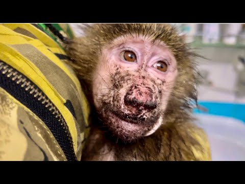 Видео: Мы чуть не ЛОПНУЛИ ОТ СМЕХА! Анфиса какую ШАХТУ ТЫ КОПАЛА?)) 