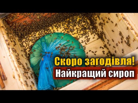 Видео: Ідеальний сироп для загодівлі бджіл на зиму!