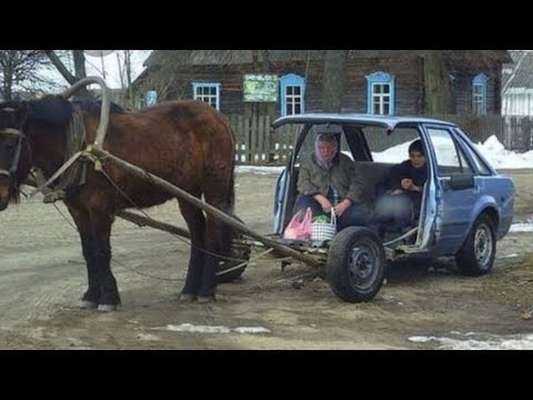 Видео: Алень согласен усыновить двоих чужих. Максометр. Мужское движение. Алименты.