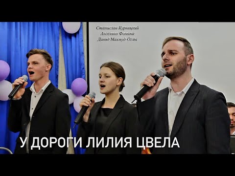 Видео: У дороги лилия цвела//Ансамбль "Небесный Луч"