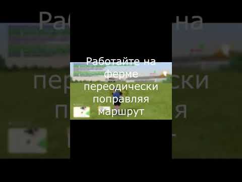 Видео: Как Зарабатывать на RADMIR RP почти Ничего НЕ Делая? (Hassle Online) #radmir #gta #shorts