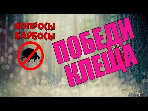 Видео: Как защитить собаку от пироплазмоза. Чем обрабатывать от клещей.
