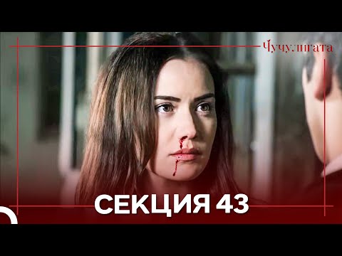 Видео: Чучулигата Cekция 43 (Дублирано на български)