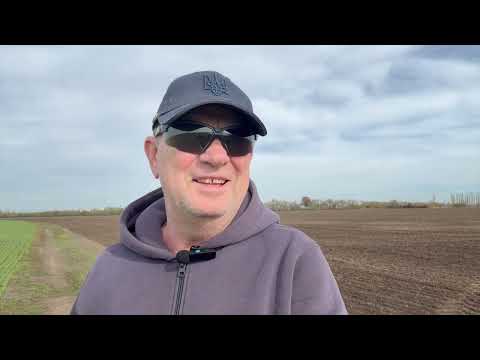 Видео: Огляд сортів насіння ПНЗ 2026 | Новинки та перевірені варіанти