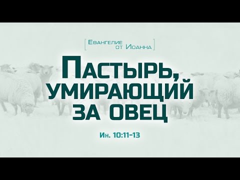 Видео: Проповедь: "Ев. от Иоанна: 57. Пастырь, умирающий за овец" (Алексей Коломийцев)