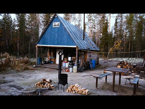 Видео: Осенёвка в лесной избе Алексея. Есть добыча, тайга накормила. Приехали мужики. Охота и рыбалка 2022.