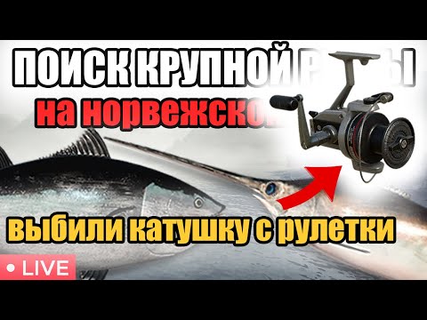 Видео: ПОЙМАЛ ТРОФЕЙНОГО СОМА •  ВЫБИЛИ КАТУШКУ С РУЛЕТКИ  • РР4 СТРИМ • РОЗЫГРЫШИ • РУССКАЯ РЫБАЛКА 4