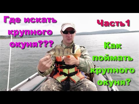 Видео: Где искать крупного окуня??? Как поймать крупного окуня?