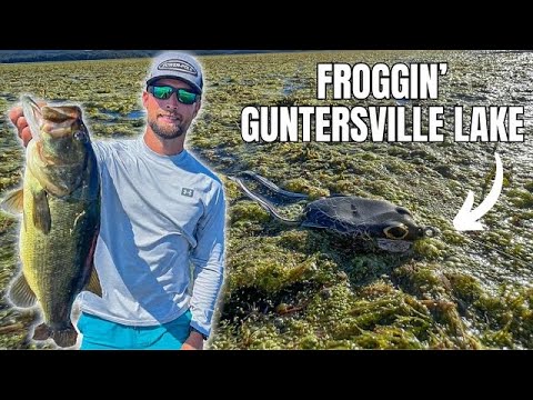 Видео: Что нужно знать о ловле лягушки! (озеро Гантерсвилл)