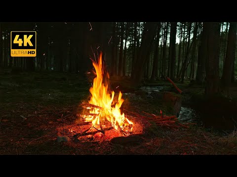 Видео: 4K 📺 Уютный вечерний костер у ручья — аутентичная лесная атмосфера