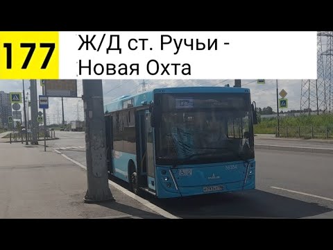 Видео: Автобус 177. Ж/Д ст. Ручьи - Новая Охта