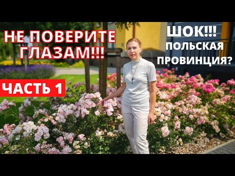 Видео: Неужели ТАК живут Поляки В ПРОВИНЦИИ? Уровень Жизни простых поляков. Blachownia. Жизнь в Польше.