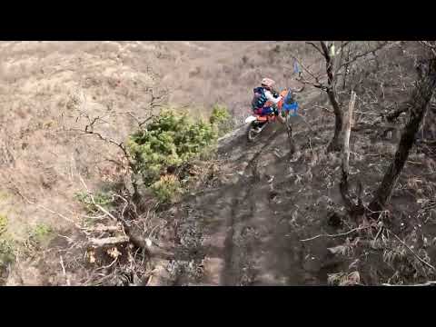 Видео: Енотка 2025