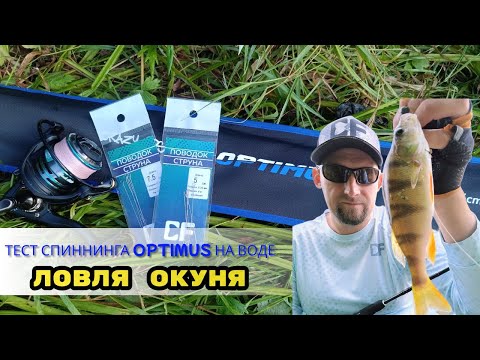 Видео: Тест спиннинга CF Company Optimus. Ловля окуней на микроджиг