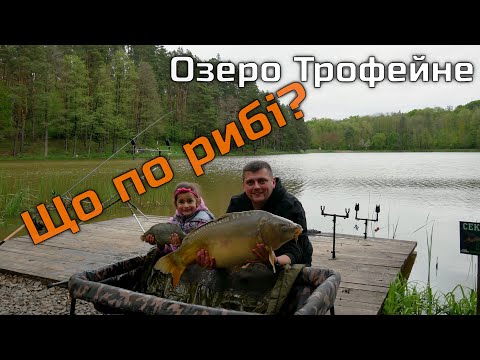 Видео: Такого ми не очікували! Озеро Трофейне варто їхати та ловити!