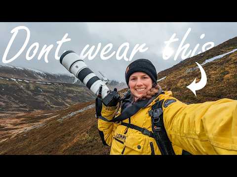 Видео: Чему я научился за первый год работы фотографом дикой природы.