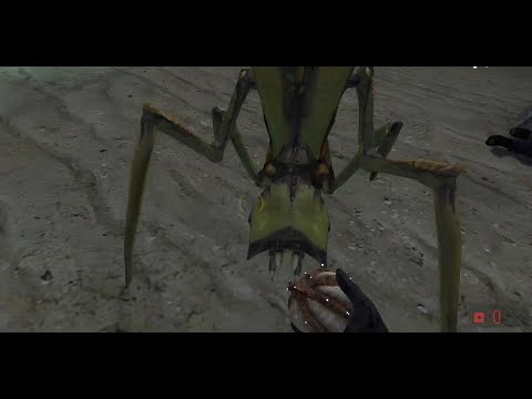 Видео: ЗАВЕЛИ ПИТОМЦЕВ В Half-Life 2 #3