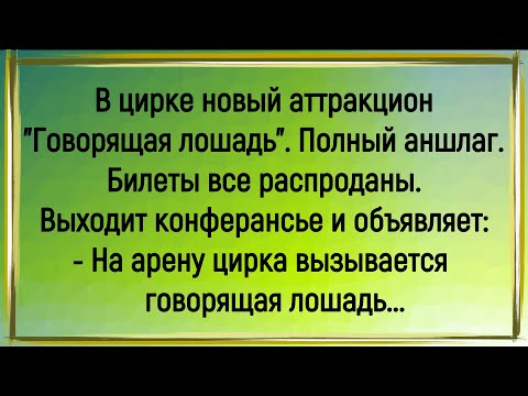 Видео: 🔥Как В Цирк Говорящую Лошадь Привезли! Сборник Очень Смешных Анекдотов! Юмор! Позитив!