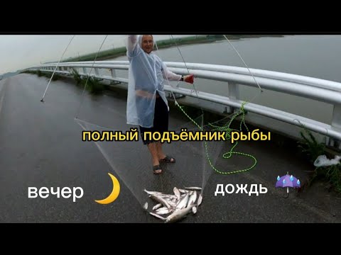Видео: Рыбалка на паук-подъёмник. Наловили полный тазик верхогляда #рыбалканапаукподъёмник