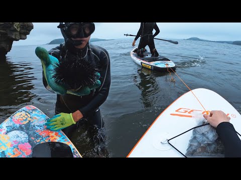 Видео: Лето 2022 |Плывешь на сапе, собираешь ракушки и все клево| Владивосток