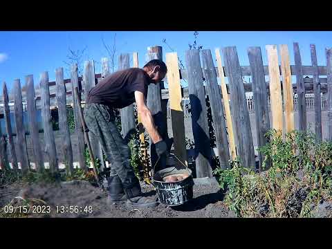 Видео: УБИРАЕМ КОРТОФЕЛЬ. ПРИШЛА ОСЕНЬ.