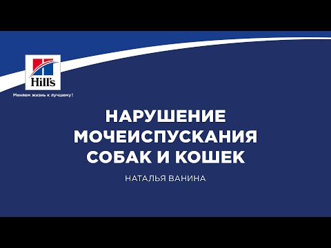 Видео: Вебинар на тему: "Нарушение мочеиспускания собак и кошек". Лектор - Наталья Ванина.