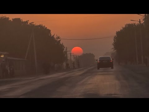 Видео: ТУУРА ТАМАКТАНУУНУН ЭРЕЖЕЛЕРИ l ДОКТОР АМАНБАЕВ 